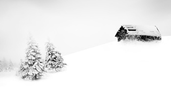 フィンランドに行った