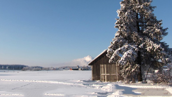 フィンランドに行った