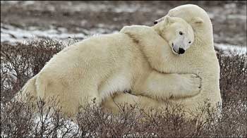 フィンランドに行った