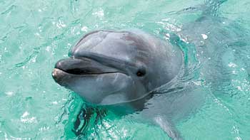 フィンランドに行った