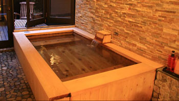 フィンランドに行った