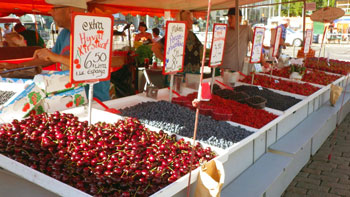 フィンランドに行った