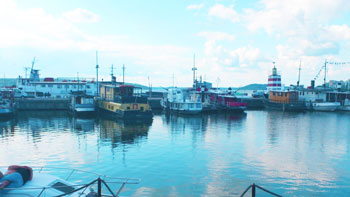 フィンランドに行った