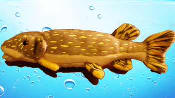 フィンランドに行った