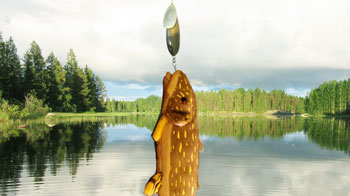 フィンランドに行った