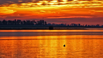 フィンランドに行った