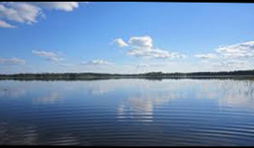 エジプト軍の医務局